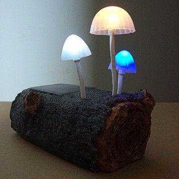 Solar Mushroom Lamp